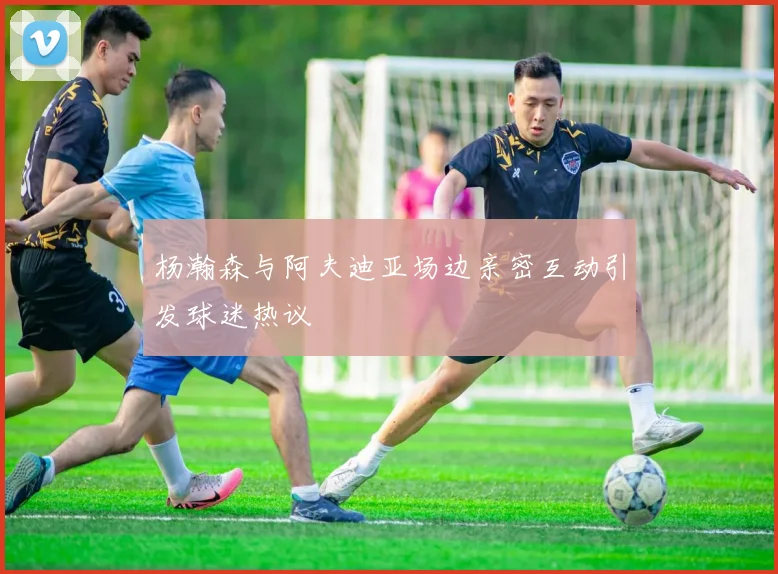 杨瀚森与阿夫迪亚场边亲密互动引发球迷热议